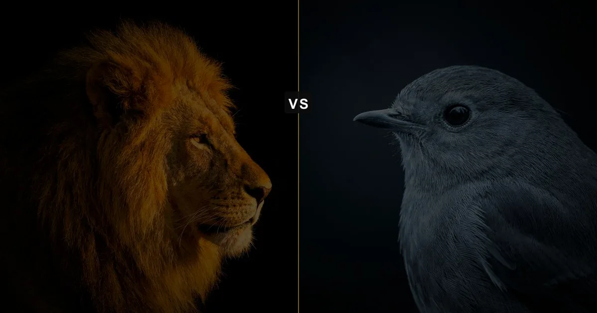 Tournament vs Pairbonding Males: Protect or Provide?