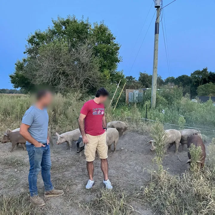 Two members on a farm